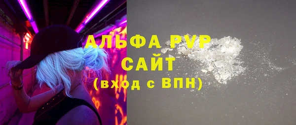 гидра Магас