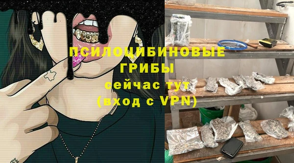 гидра Пыталово