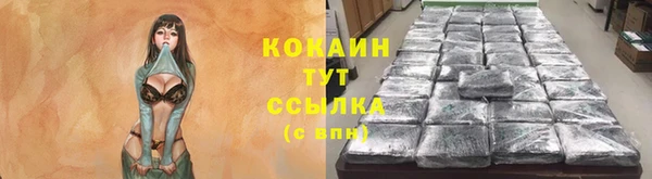 гидра Магас