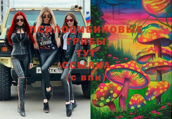 гидра Магас