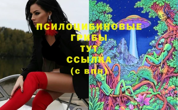 гидра Магас