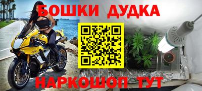 сатива Балахна