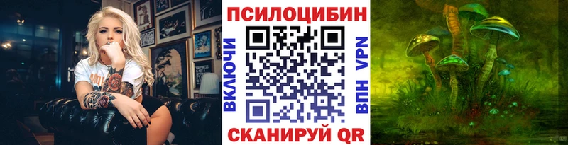 где продают   Владимир  darknet какой сайт  Галлюциногенные грибы Cubensis  ОМГ ОМГ ссылки 