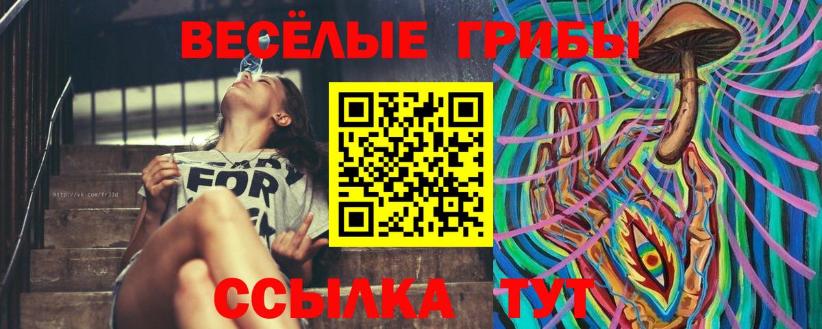 Псилоцибиновые грибы MAGIC MUSHROOMS Владимир