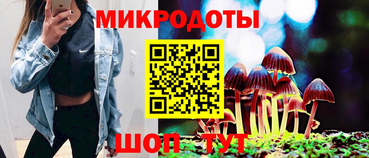 Псилоцибиновые грибы Psilocybe  Владимир 