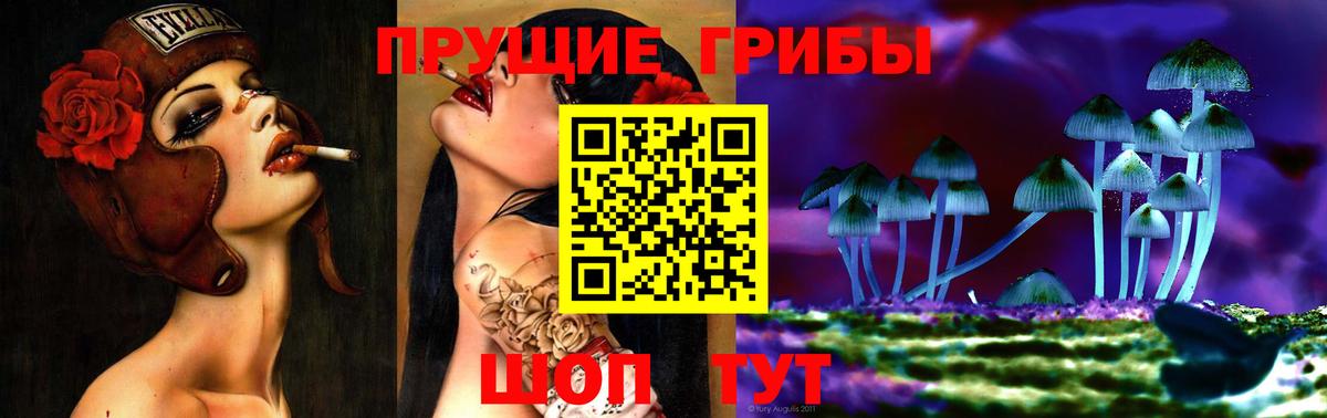 Псилоцибиновые грибы GOLDEN TEACHER  Вход с VPN  купить закладку  Владимир 